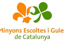 Tècnic/a informàtica 